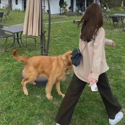 我渴望被禁止的东西